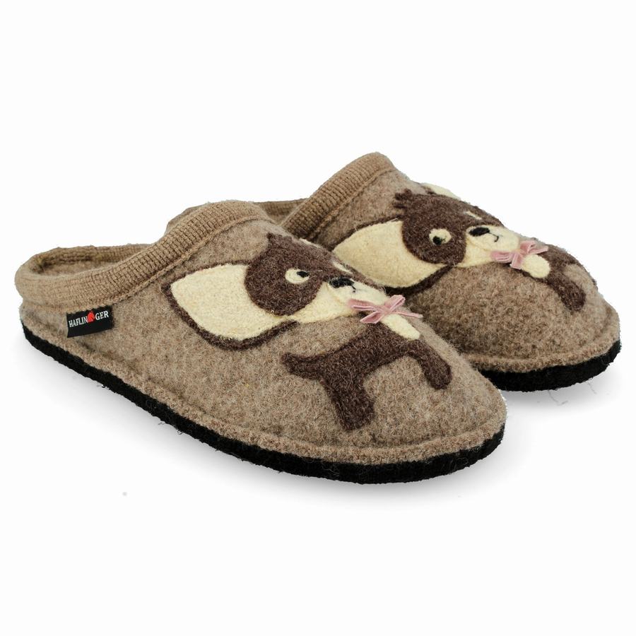 Haflinger Chihuahua Novelty Tøfler Dame Brune | HUO928PM